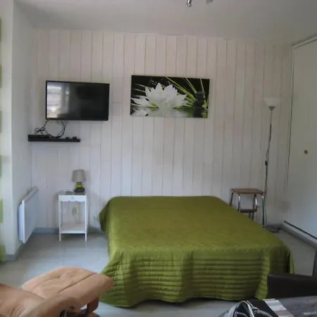 Apartamento Lumineux Avec Balcon Et Terrasse, Animaux Admis, Parking Securise, Proche Des Thermes - Fr-1-703-123 *