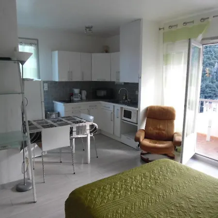 Apartamento Lumineux Avec Balcon Et Terrasse, Animaux Admis, Parking Securise, Proche Des Thermes - Fr-1-703-123 Amélie-les-Bains-Palalda