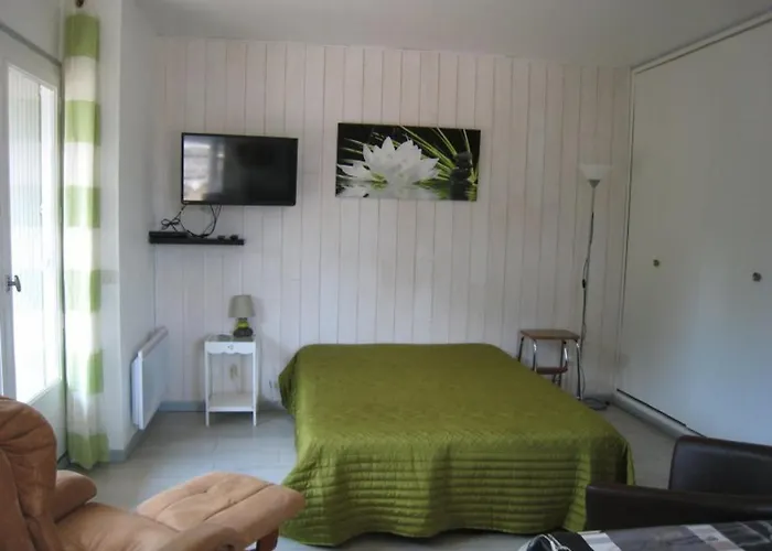 Lägenhet Lumineux Avec Balcon Et Terrasse, Animaux Admis, Parking Securise, Proche Des Thermes - Fr-1-703-123 *