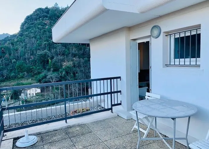 Lägenhet Lumineux Avec Balcon Et Terrasse, Animaux Admis, Parking Securise, Proche Des Thermes - Fr-1-703-123 *