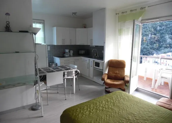 Lägenhet Lumineux Avec Balcon Et Terrasse, Animaux Admis, Parking Securise, Proche Des Thermes - Fr-1-703-123 Amélie-les-Bains-Palalda