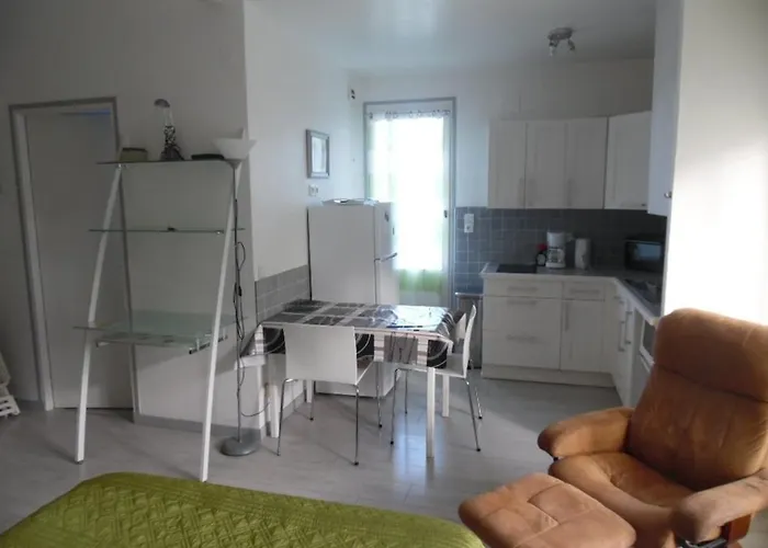 Lumineux Avec Balcon Et Terrasse, Animaux Admis, Parking Securise, Proche Des Thermes - Fr-1-703-123 Amélie-les-Bains-Palalda